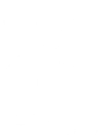 Corset IG
